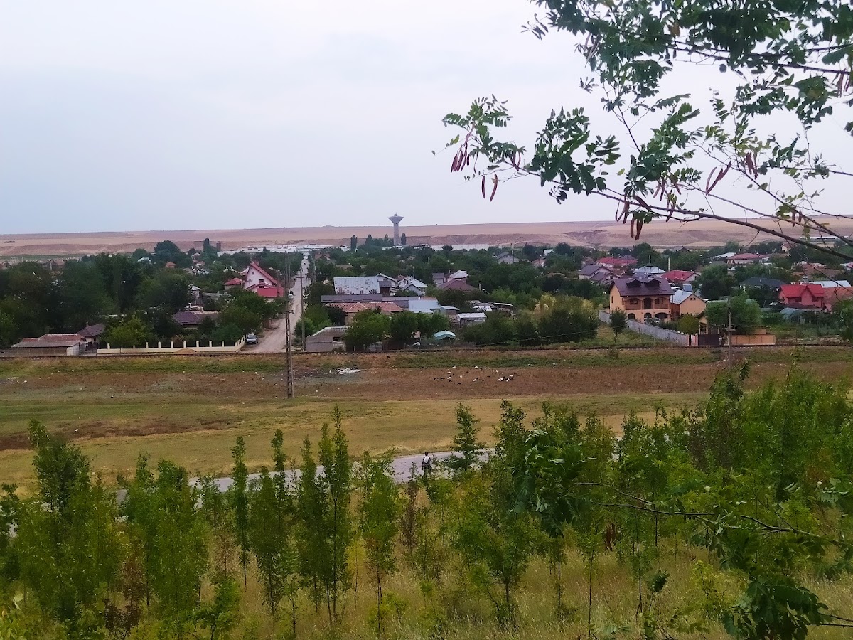 Primăria Poroschia - foto 5