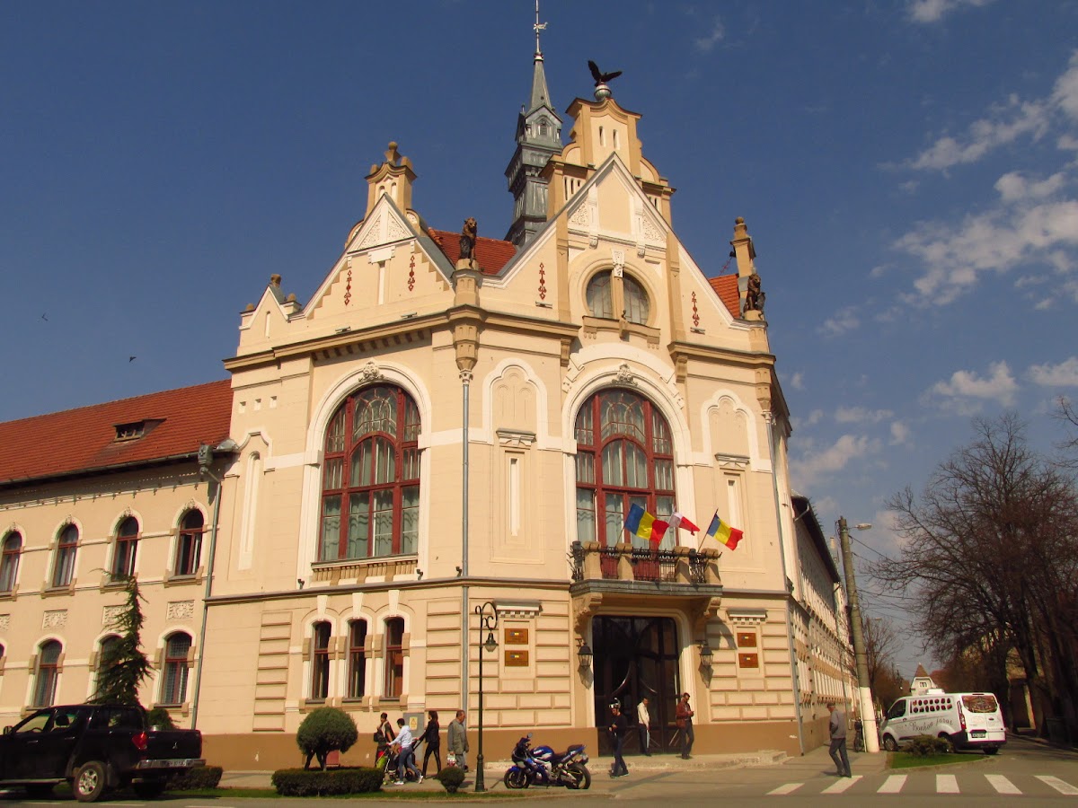 Primăria Salonta