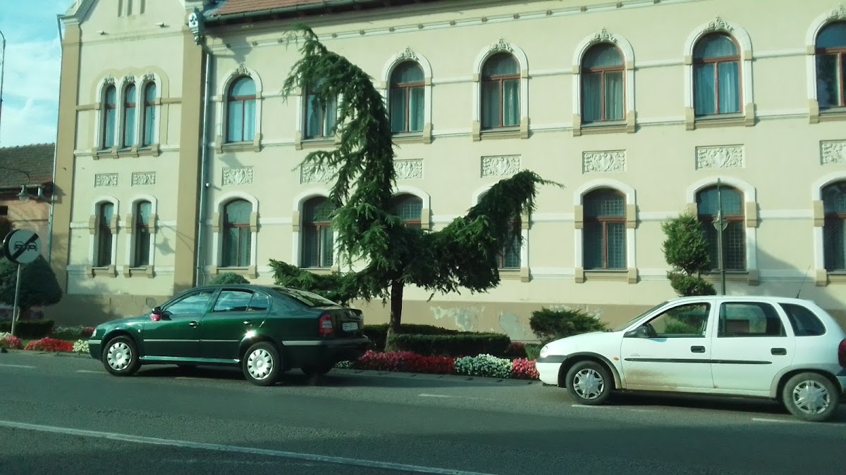 Mairie de Salonta - foto 2