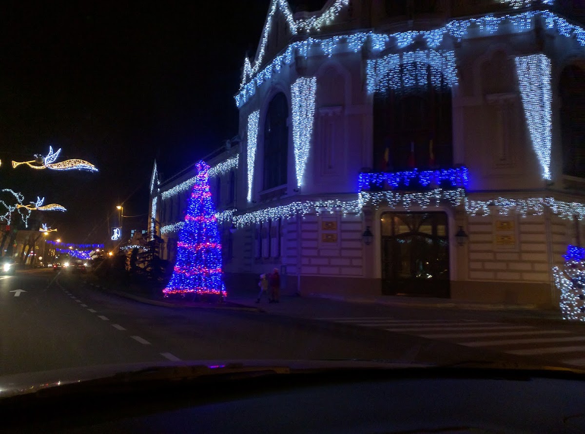 Mairie de Salonta - foto 4