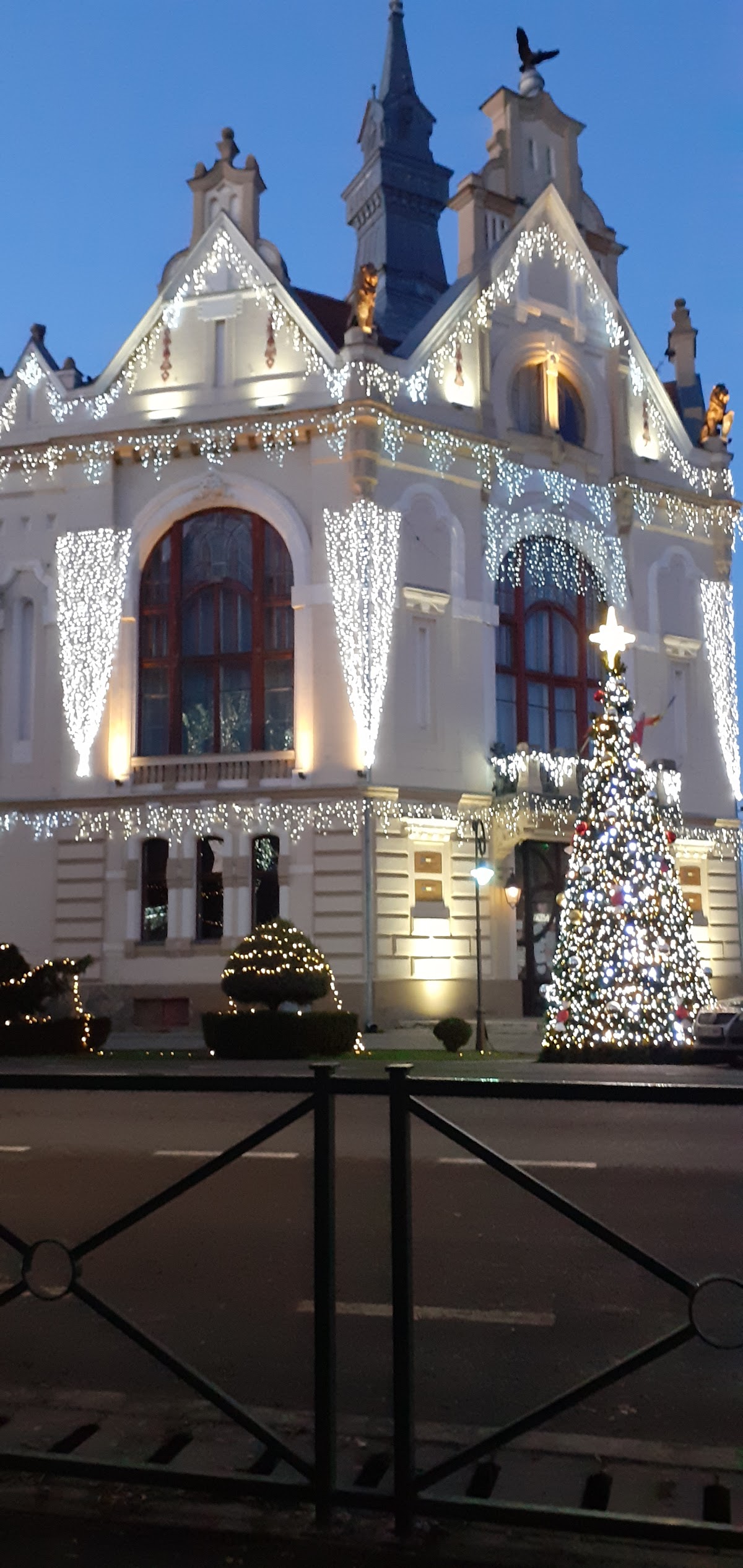 Mairie de Salonta - foto 5