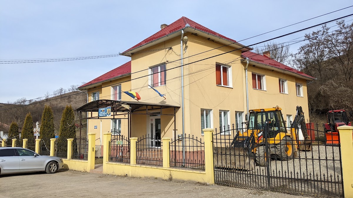 Primăria Sânmartin - foto 5