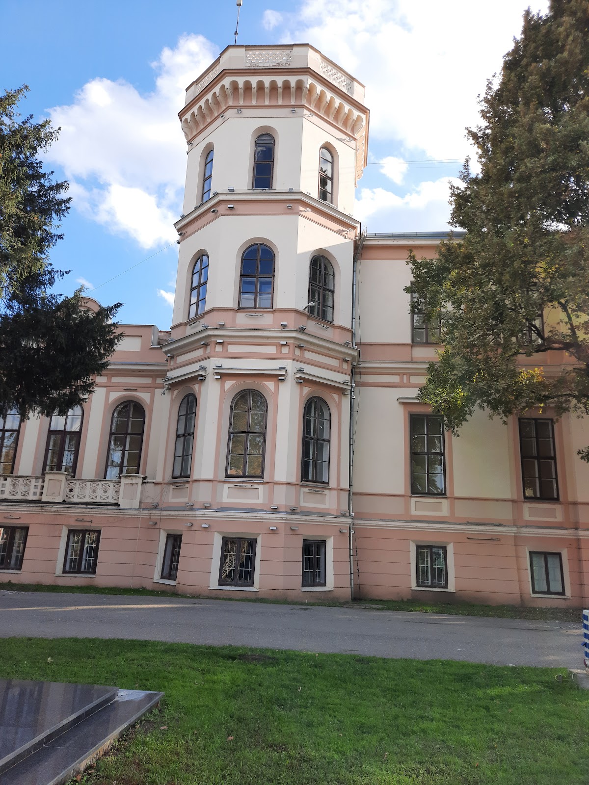 Municipio di Sânnicolau Mare - foto 2