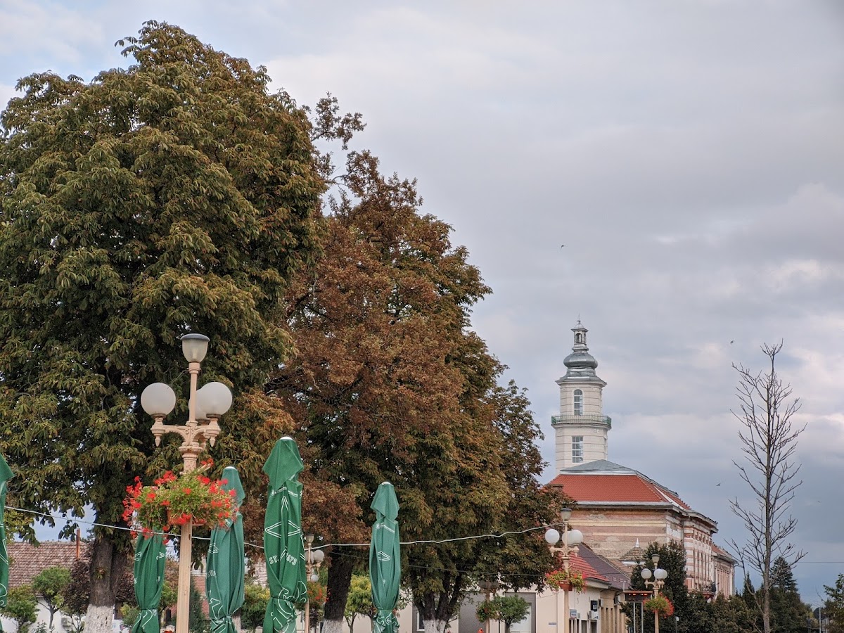 Municipio di Sânnicolau Mare - foto 3
