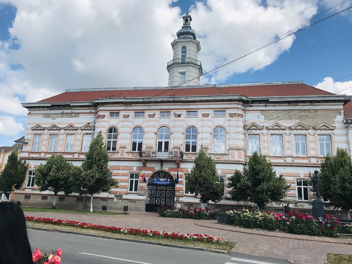 Municipio di Sânnicolau Mare - foto 4