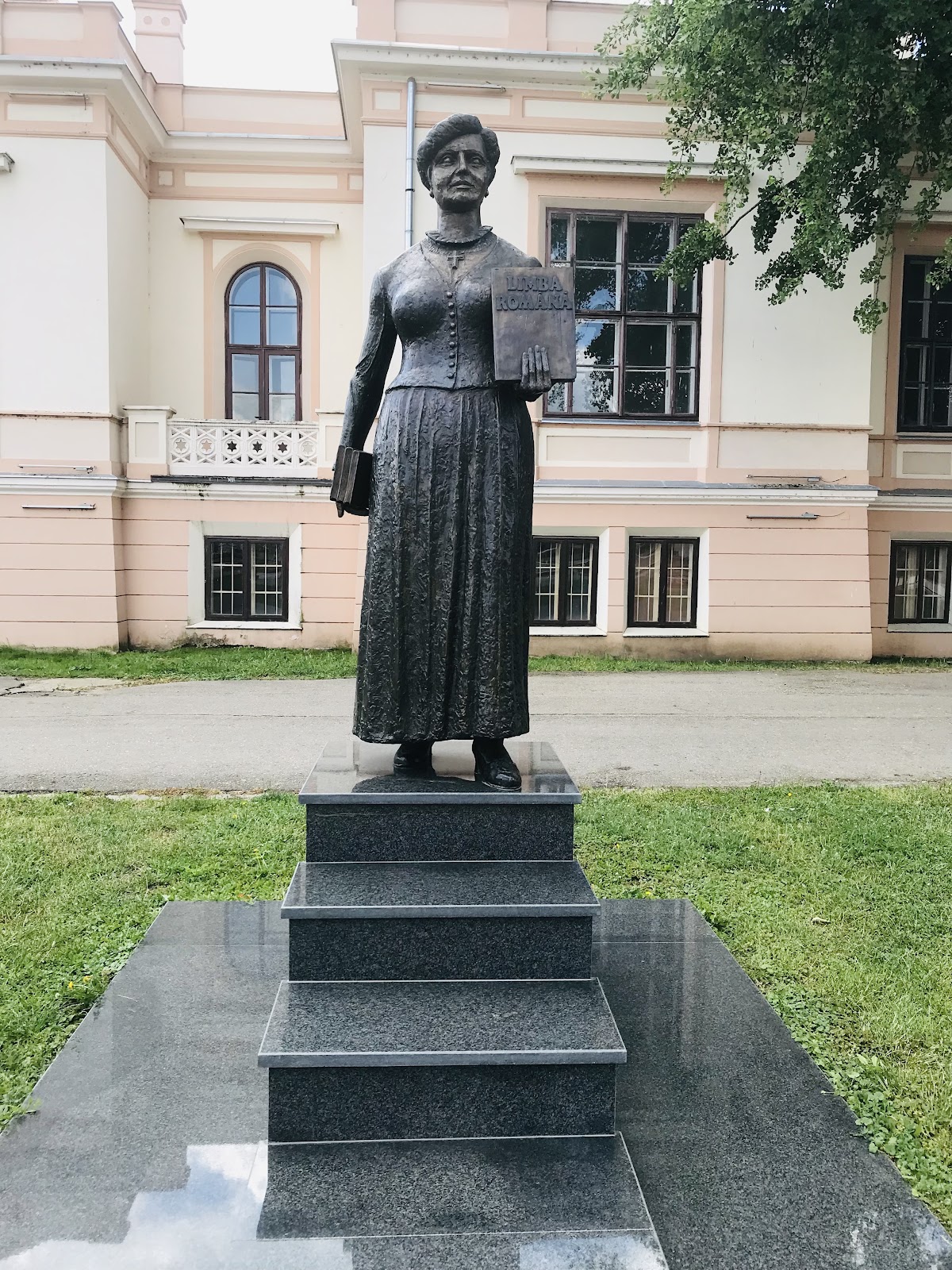 Municipio di Sânnicolau Mare - foto 5