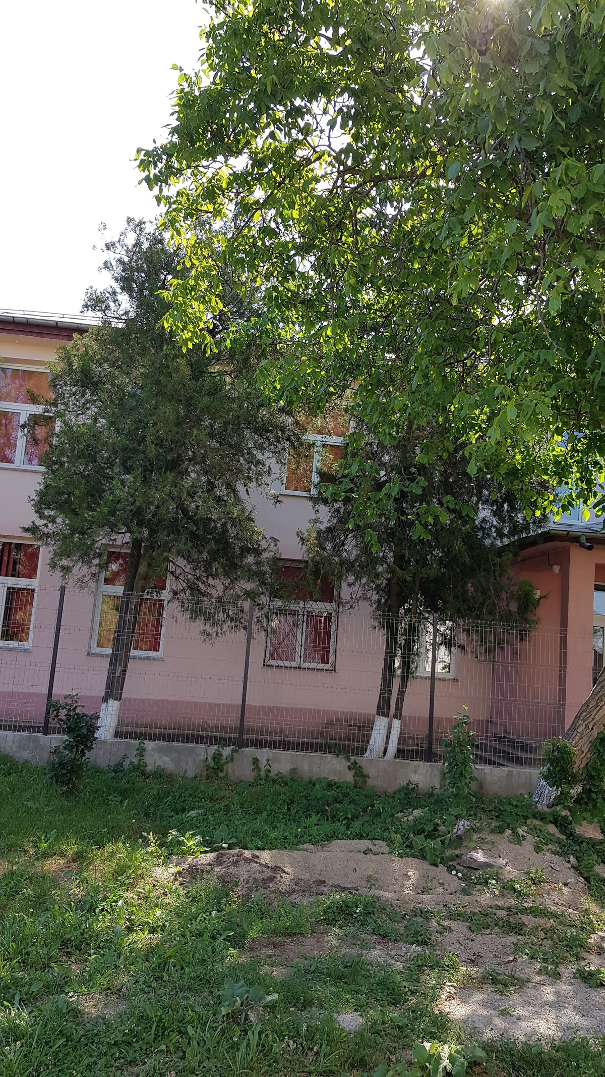 Primăria Scînteia - foto 5