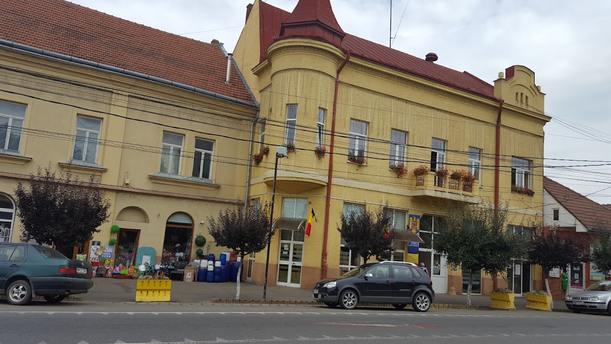 Primăria Seini - foto 1