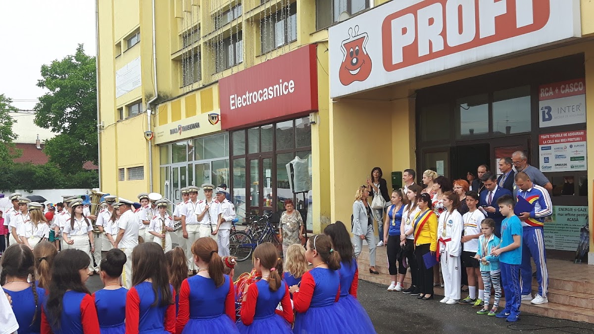 Primăria Seini - foto 3