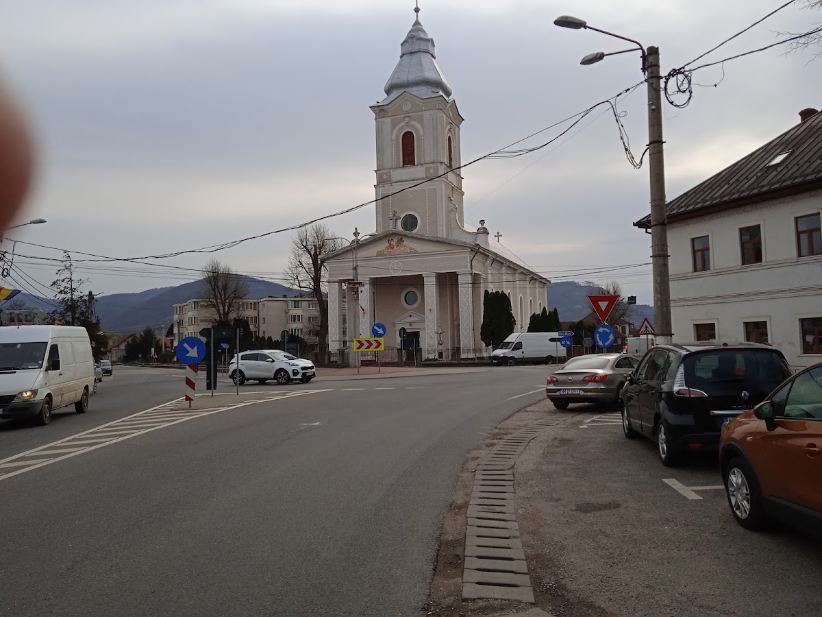 Primăria Seini - foto 4