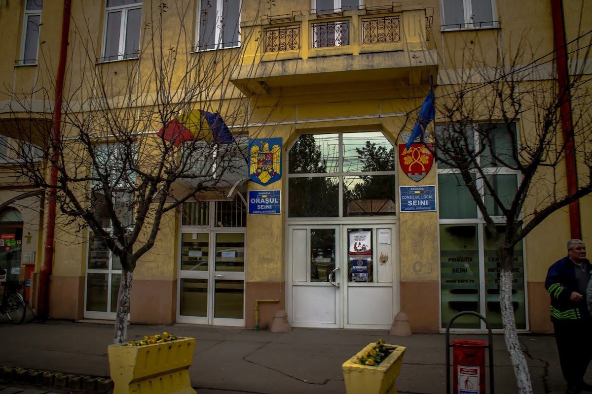 Primăria Seini - foto 5