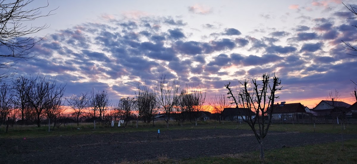 Primăria Socodor - foto 3