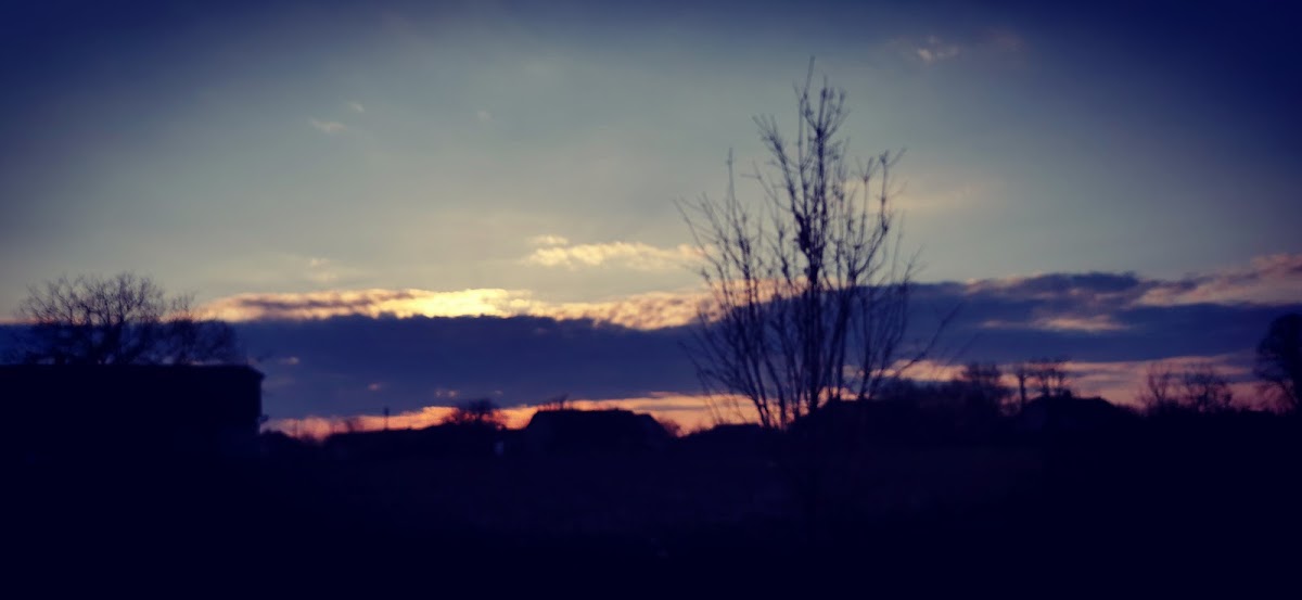 Primăria Socodor - foto 4