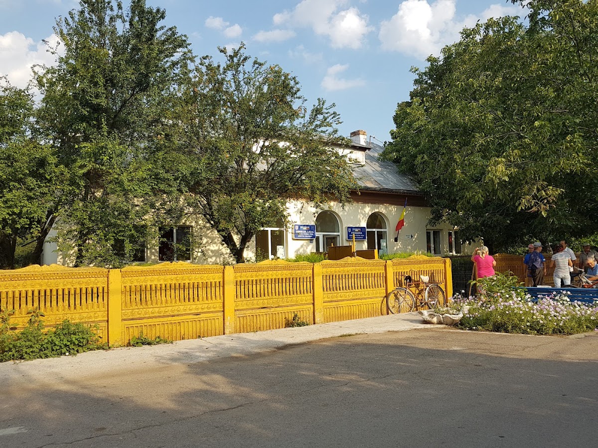 Ştefan Vodă