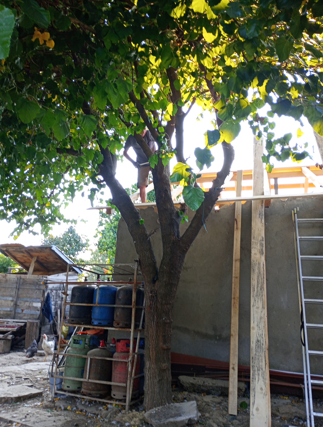 Ayuntamiento de Tufești - foto 4