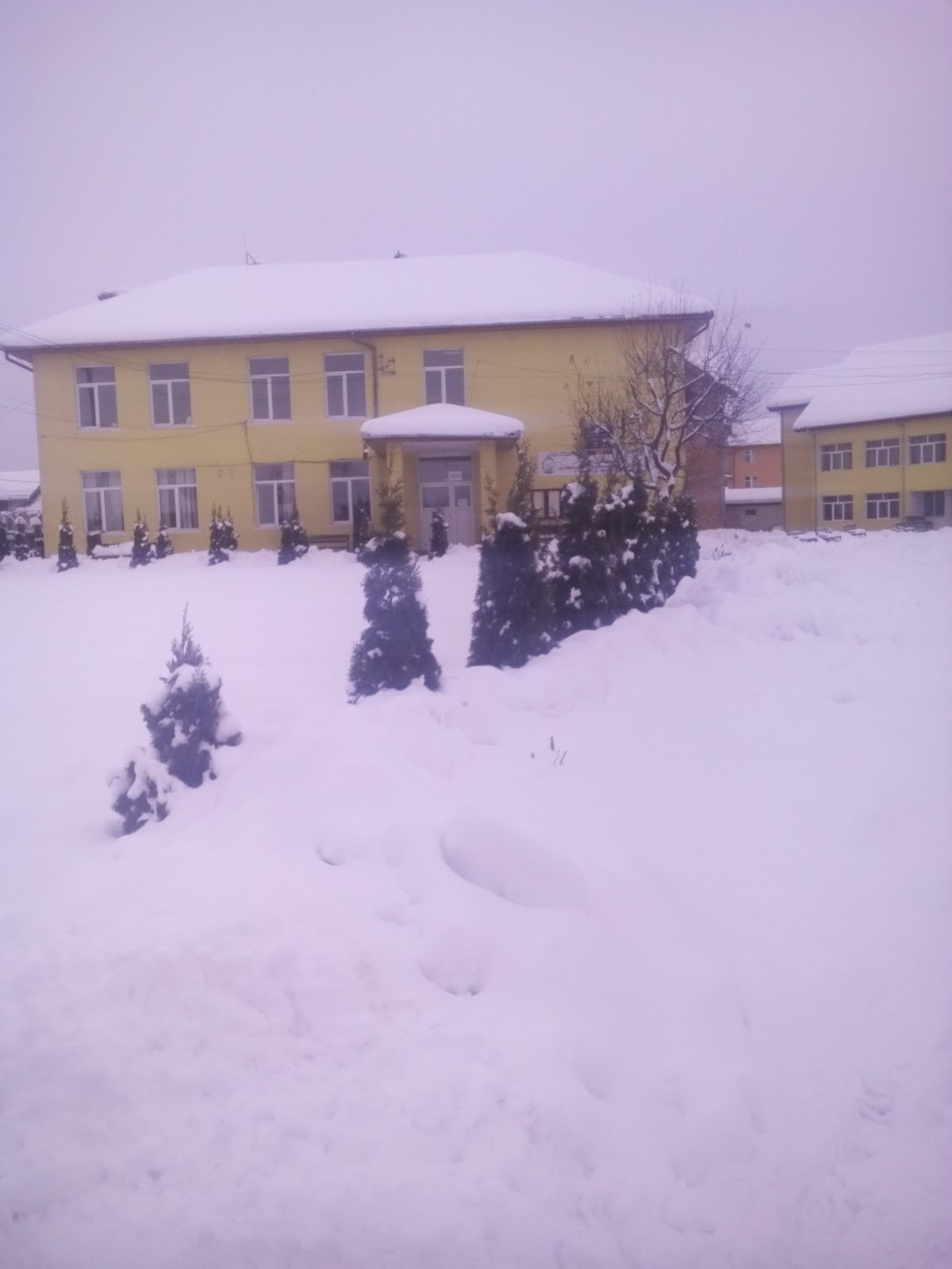 Primăria Turț - foto 4