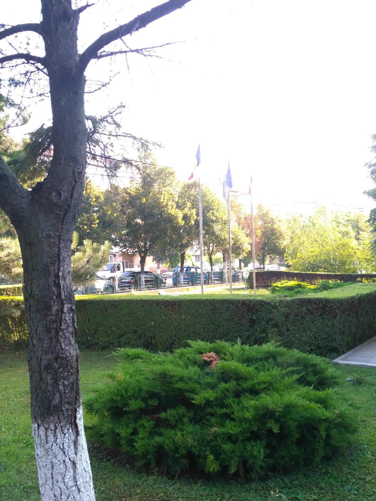 Urziceni Városháza - foto 5