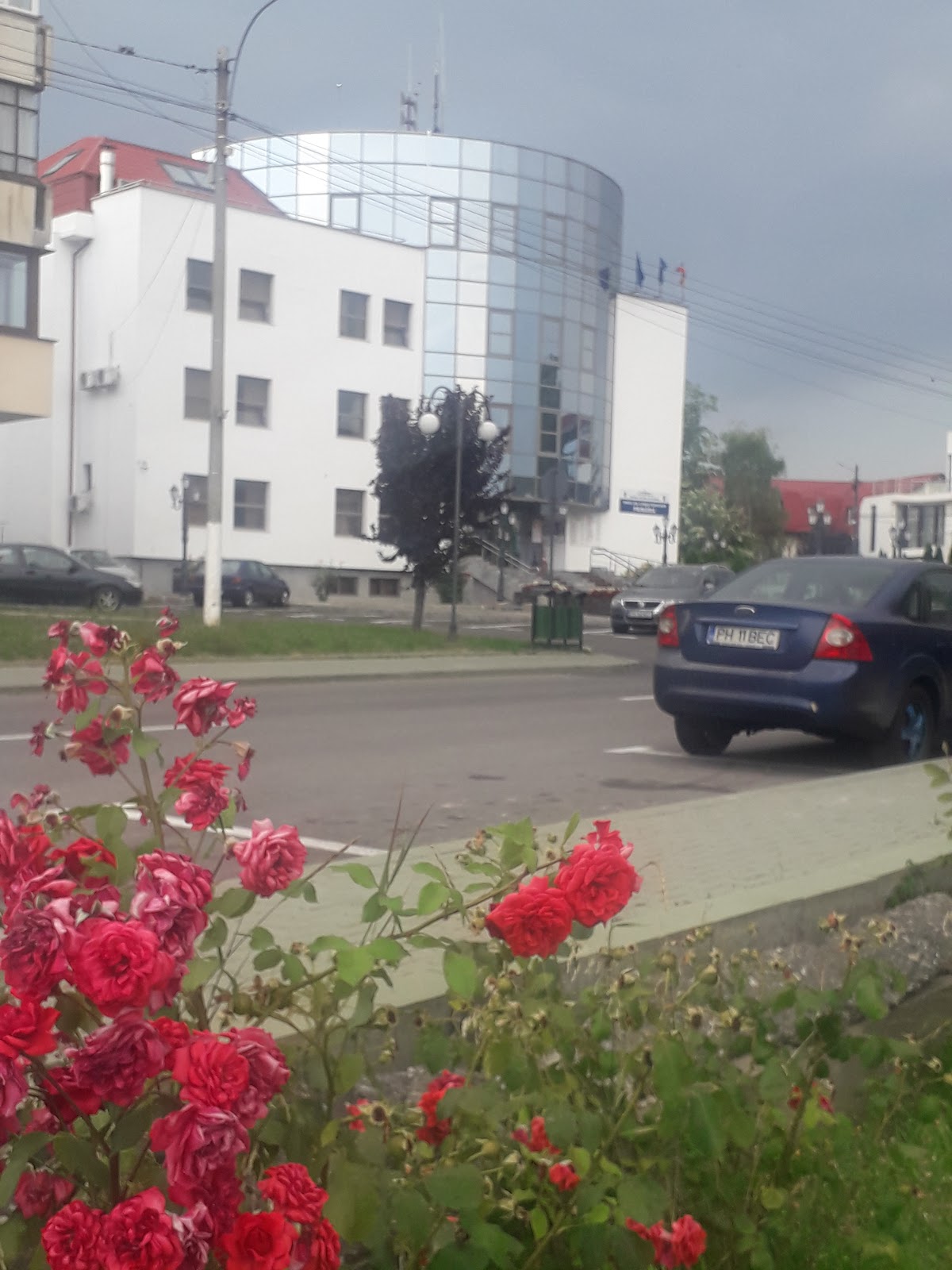 Vălenii de Munte Town Hall - foto 4