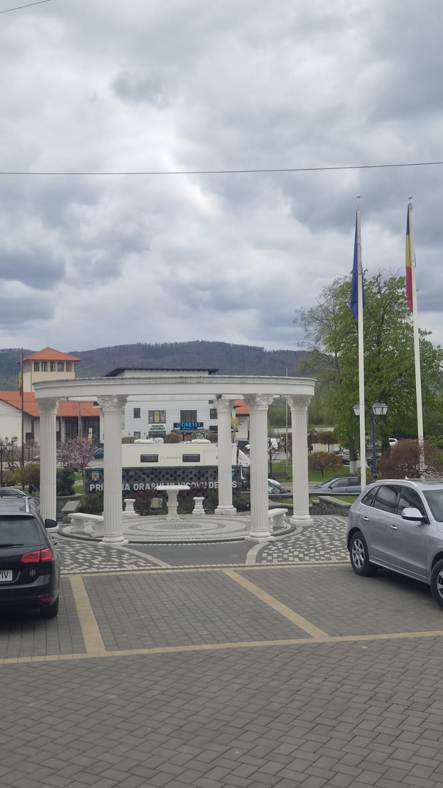 Primăria Vicovu de Sus - foto 3