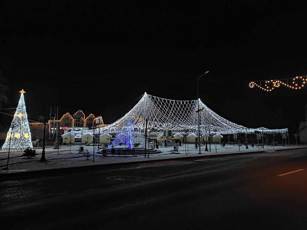 Primăria Vicovu de Sus - foto 4