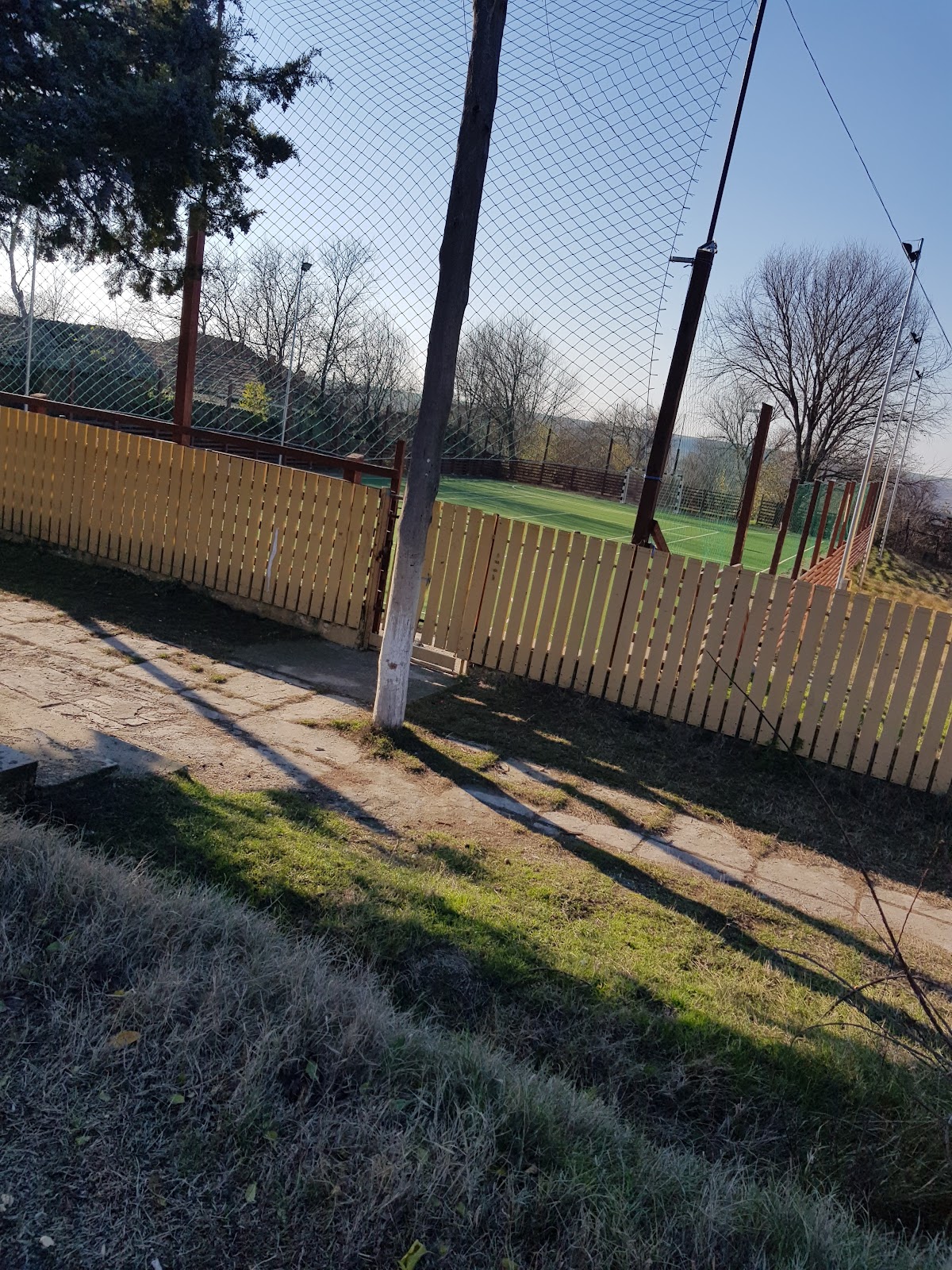 Primaria Viisoara,Teleorman - foto 4