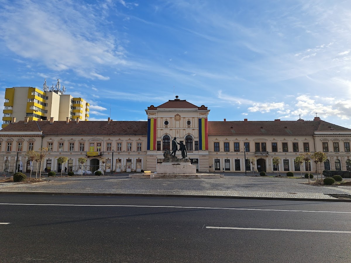Zalău City Hall - foto 2