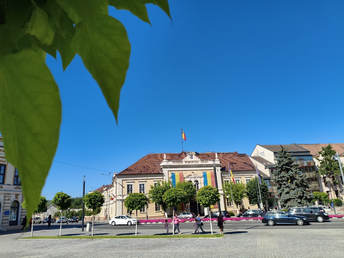 Zalău City Hall - foto 4