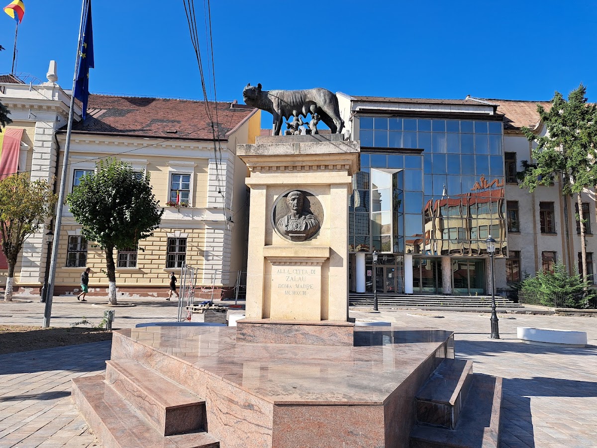 Zalău City Hall - foto 5