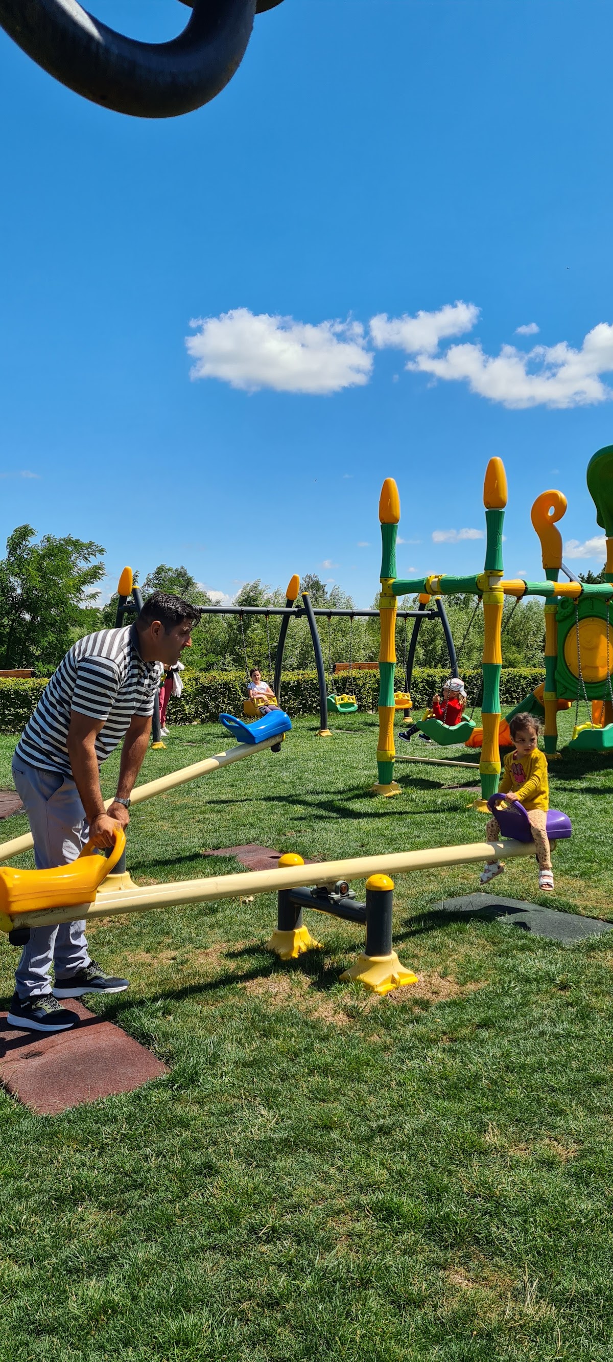 Public Faleza Siret - foto 2