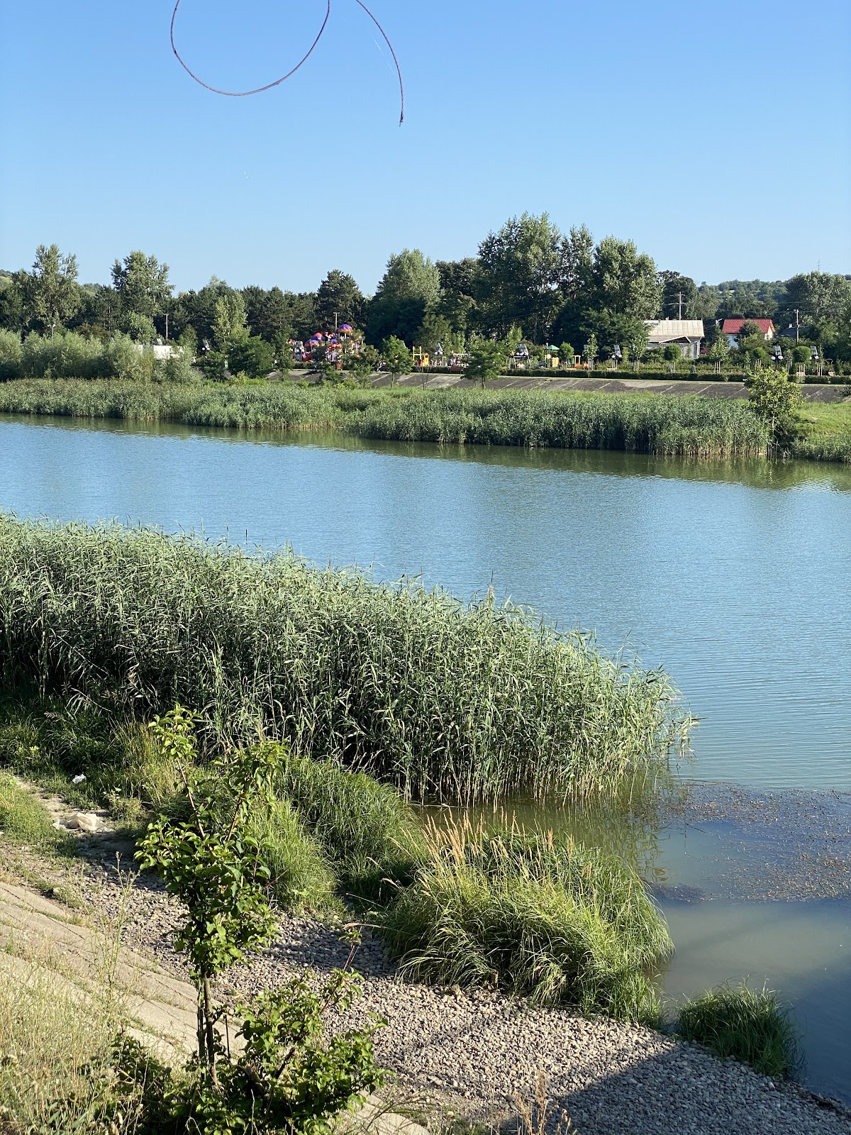 Public Faleza Siret - foto 4