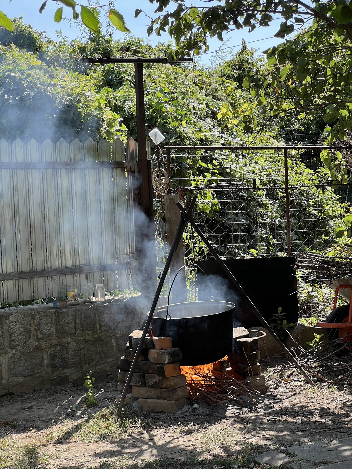 Punct gastronomic local greci - foto 5