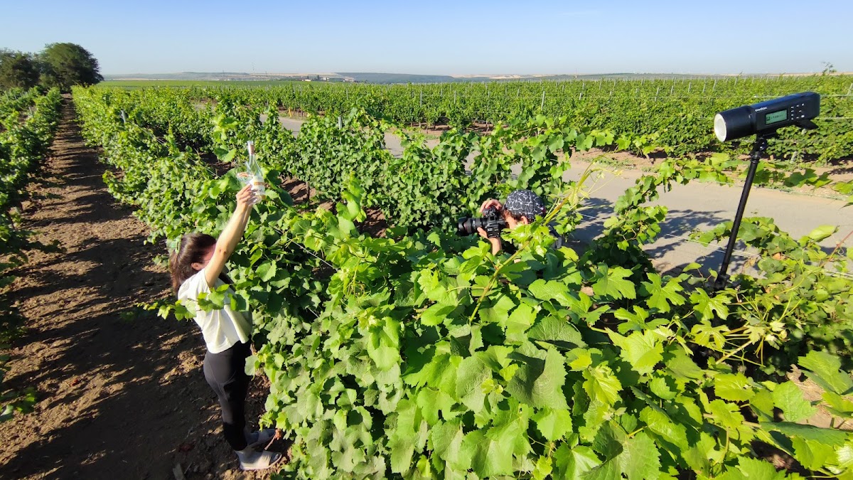 Murfatlar Tourist Point - foto 3