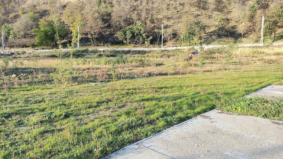 Radici di Odobești - foto 3