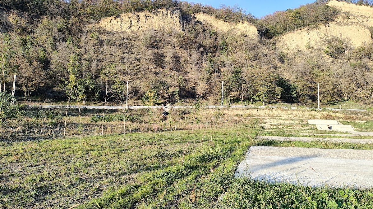 Radici di Odobești - foto 4