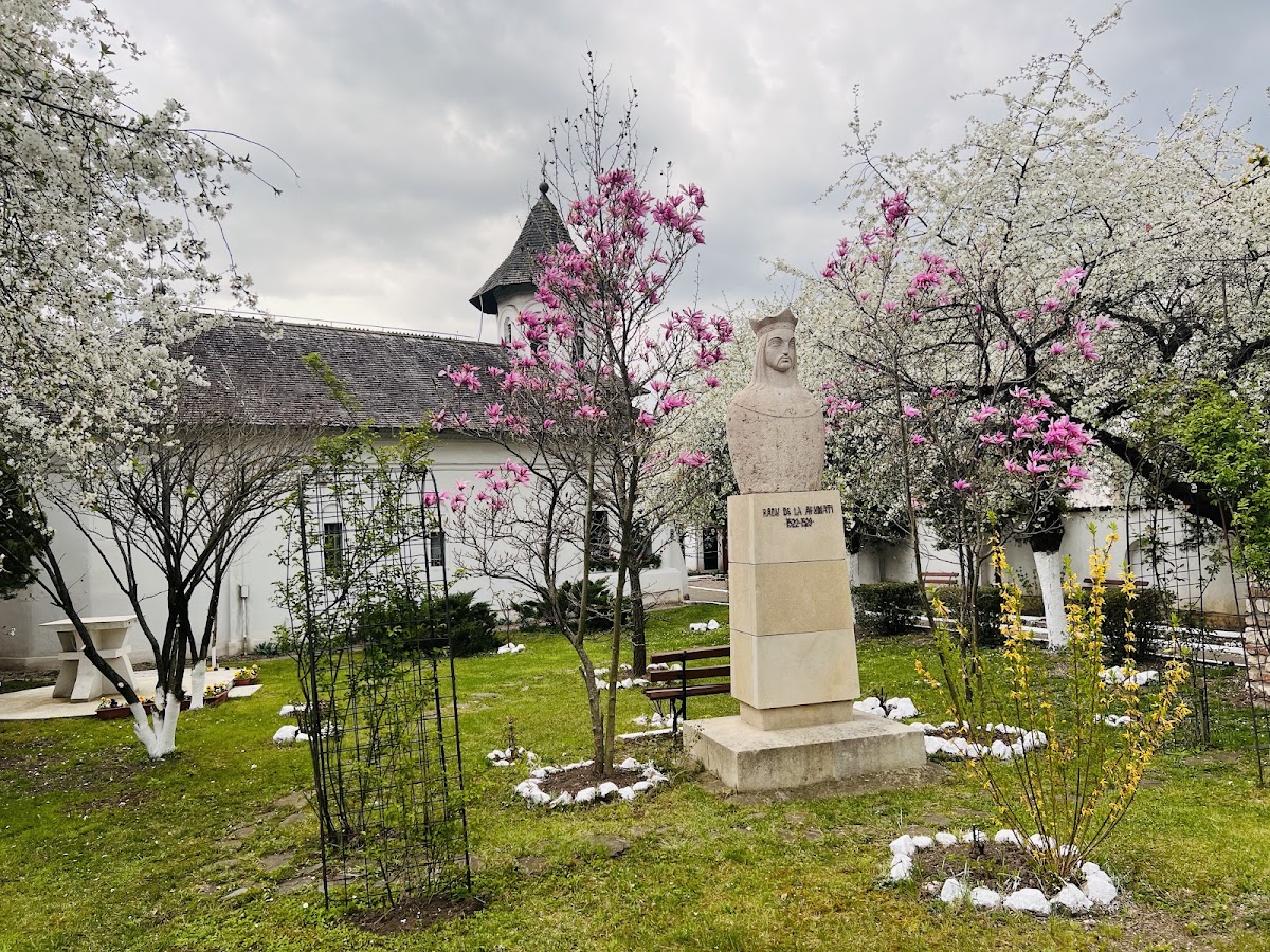 Radu de la Afumati (statua)