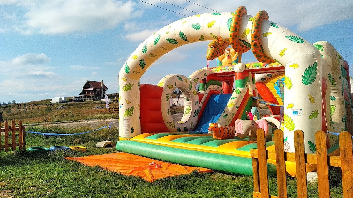 拉斐尔小屋 - Păltiniș住宿 - foto 1