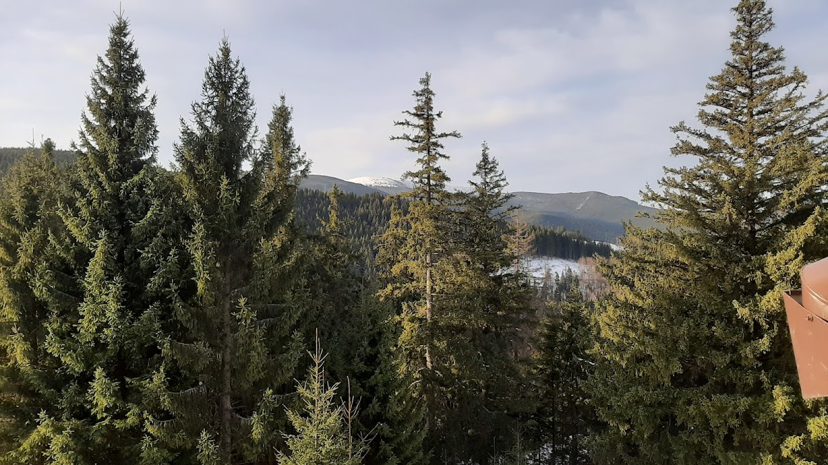 拉斐尔小屋 - Păltiniș住宿 - foto 5