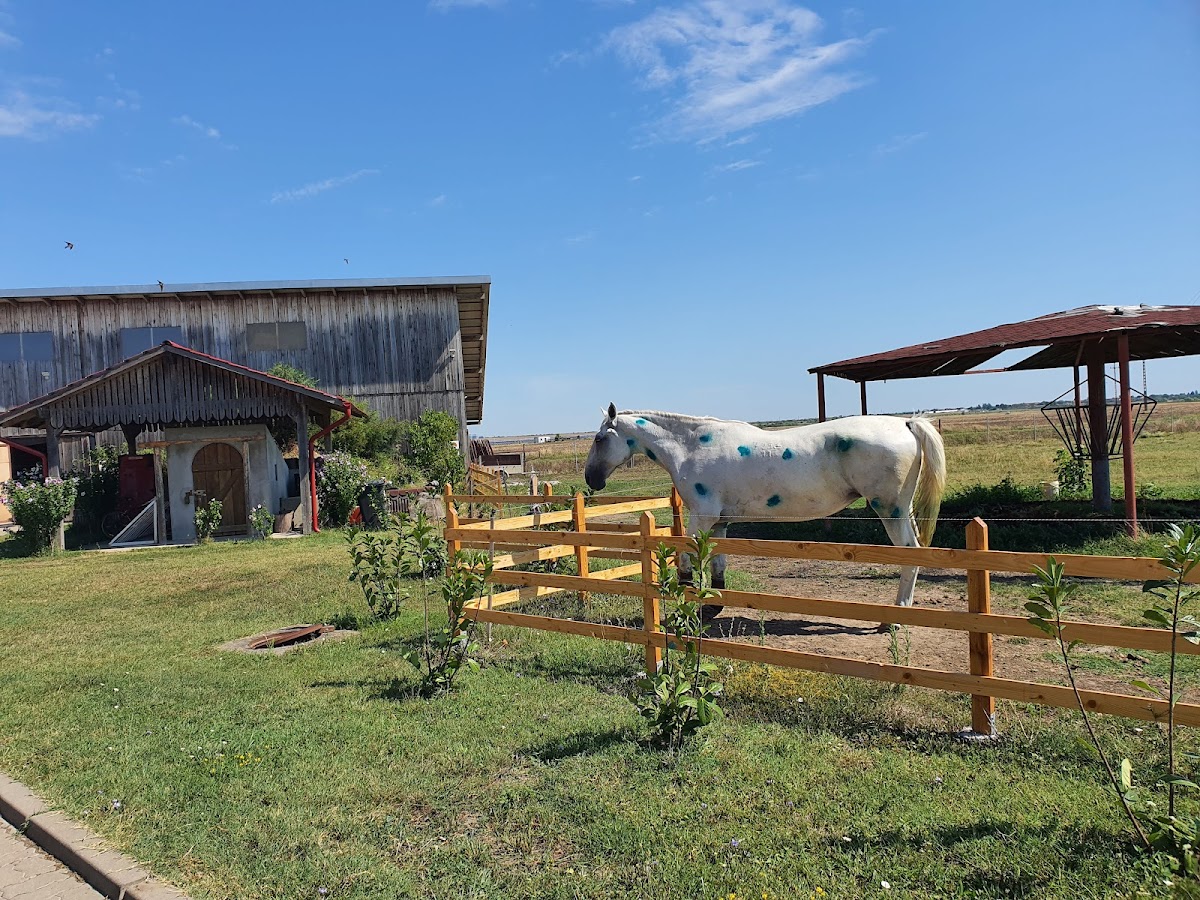 Ranch Robert - foto 5