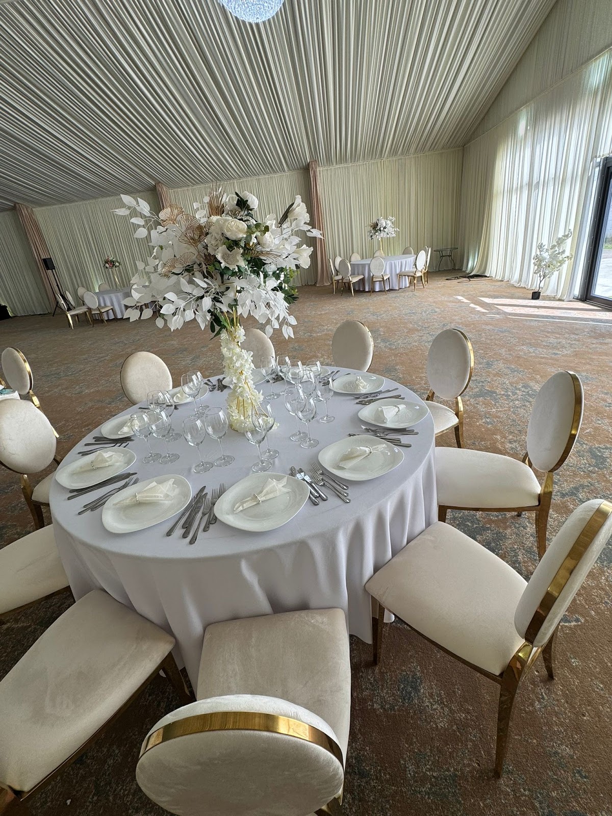 Ray Events