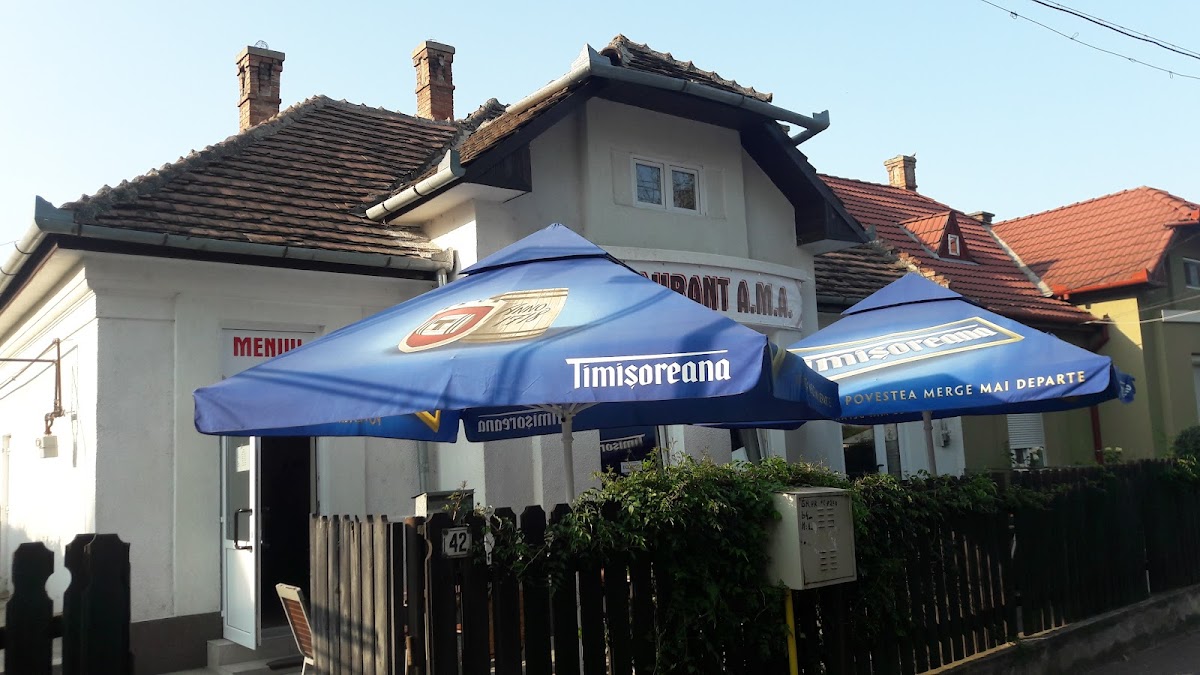Restaurant A.M.A - foto 3