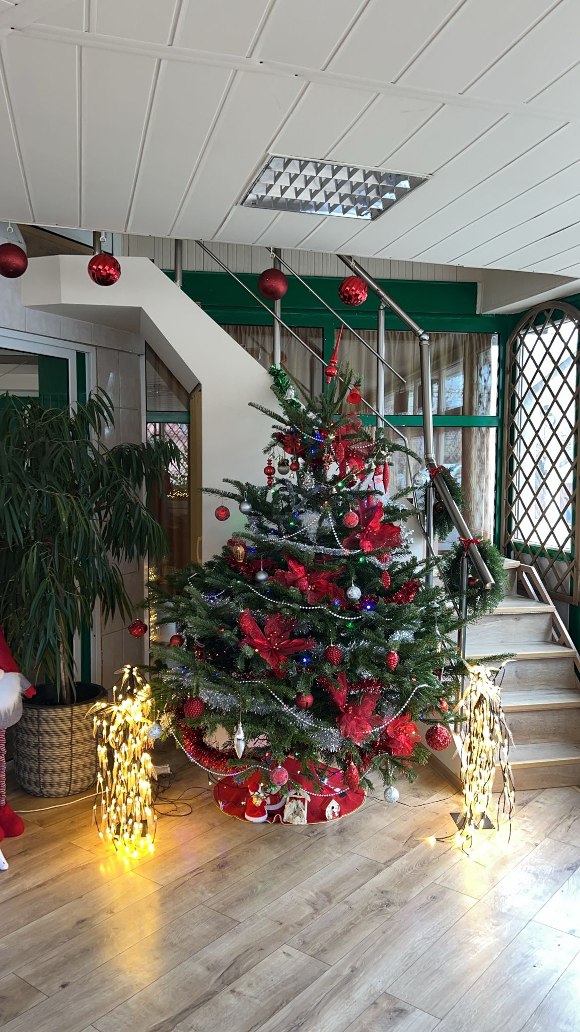 Restaurant Algin - foto 3