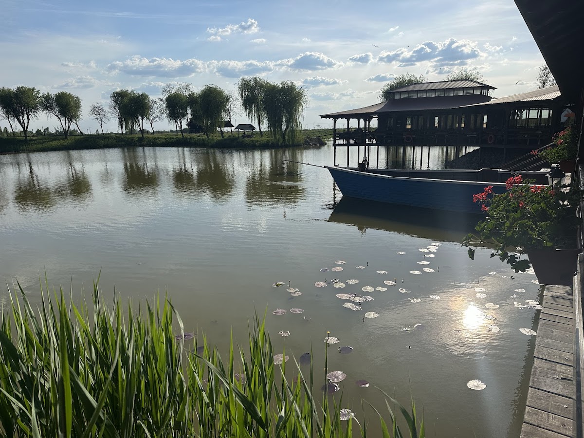 Restaurant Ancora - foto 3