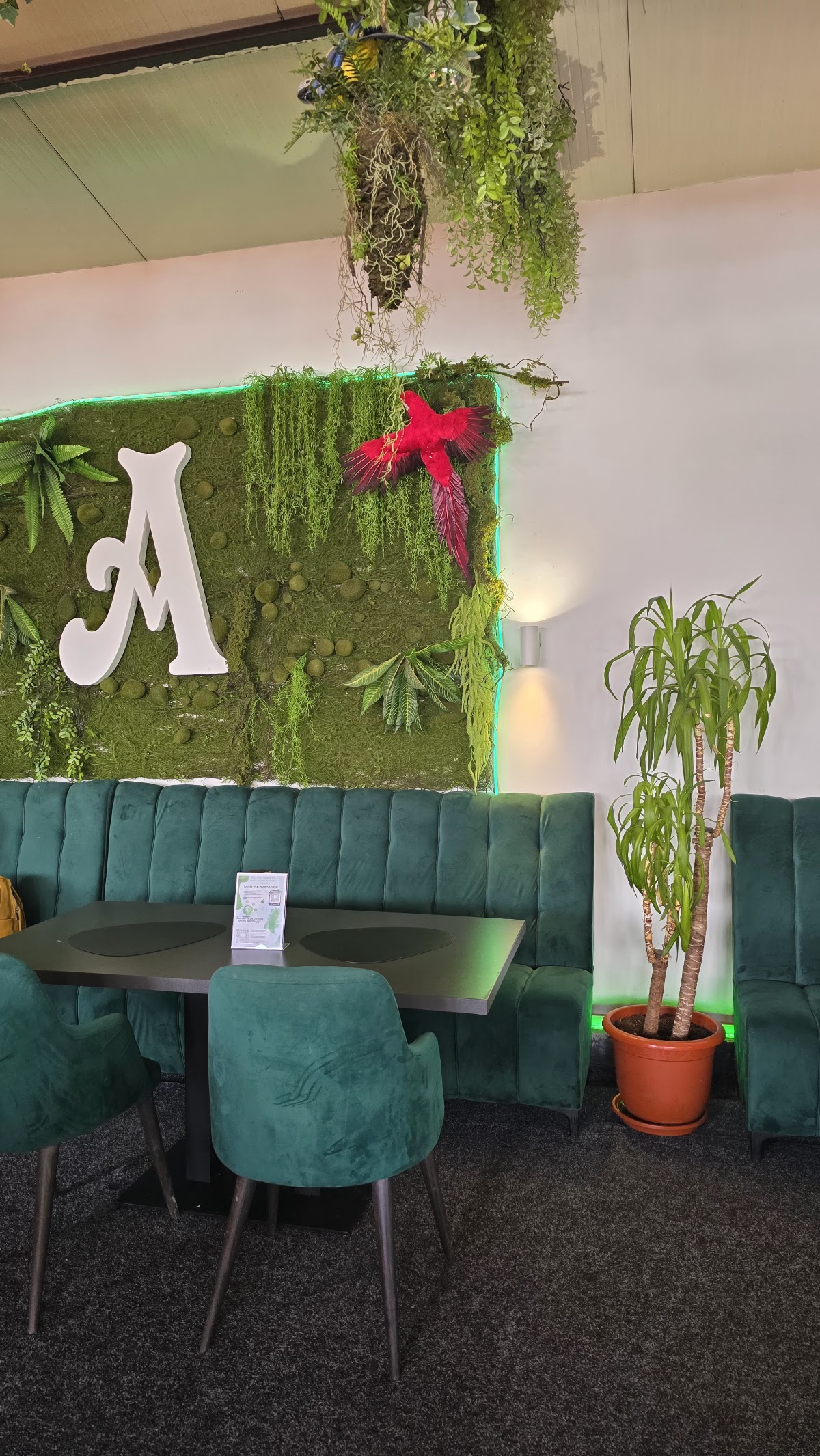 Restaurant Atmosfera - foto 4