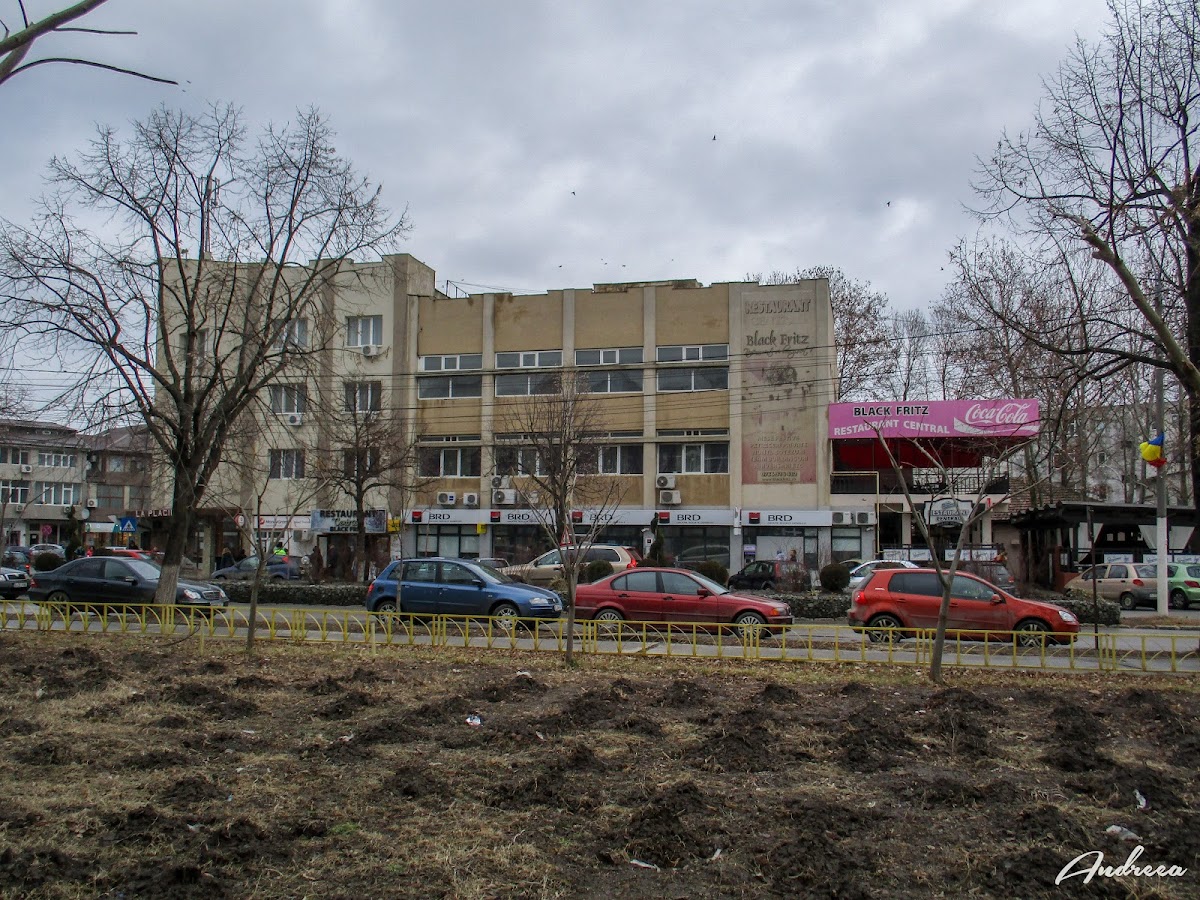 Restaurant Black Fritz - foto 5