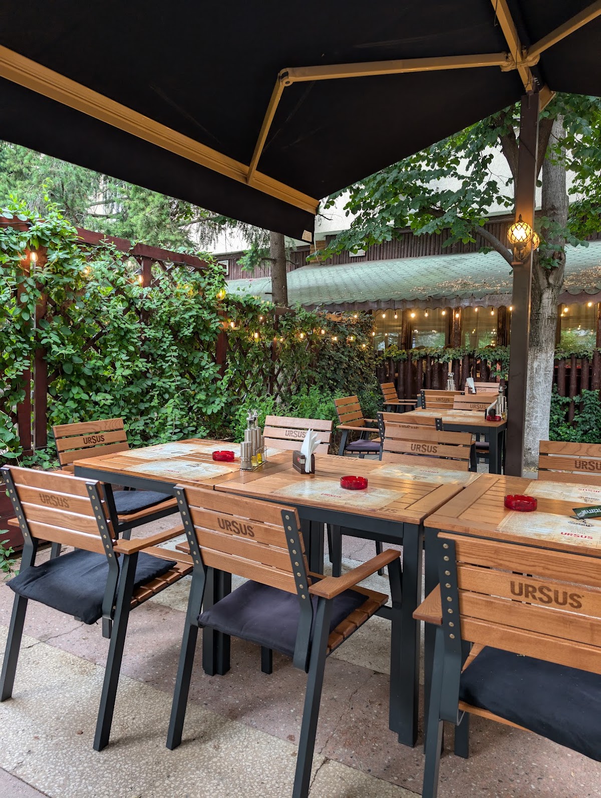 Burebista Traditional Restaurant - foto 1