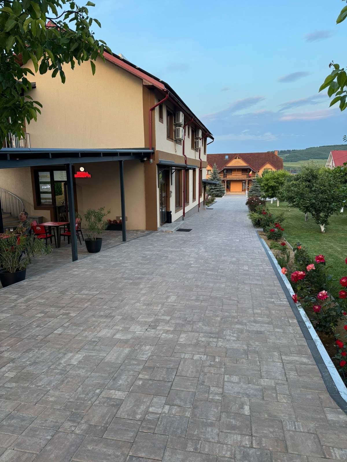 Ristorante ,,casa MIRCEA'' - foto 4