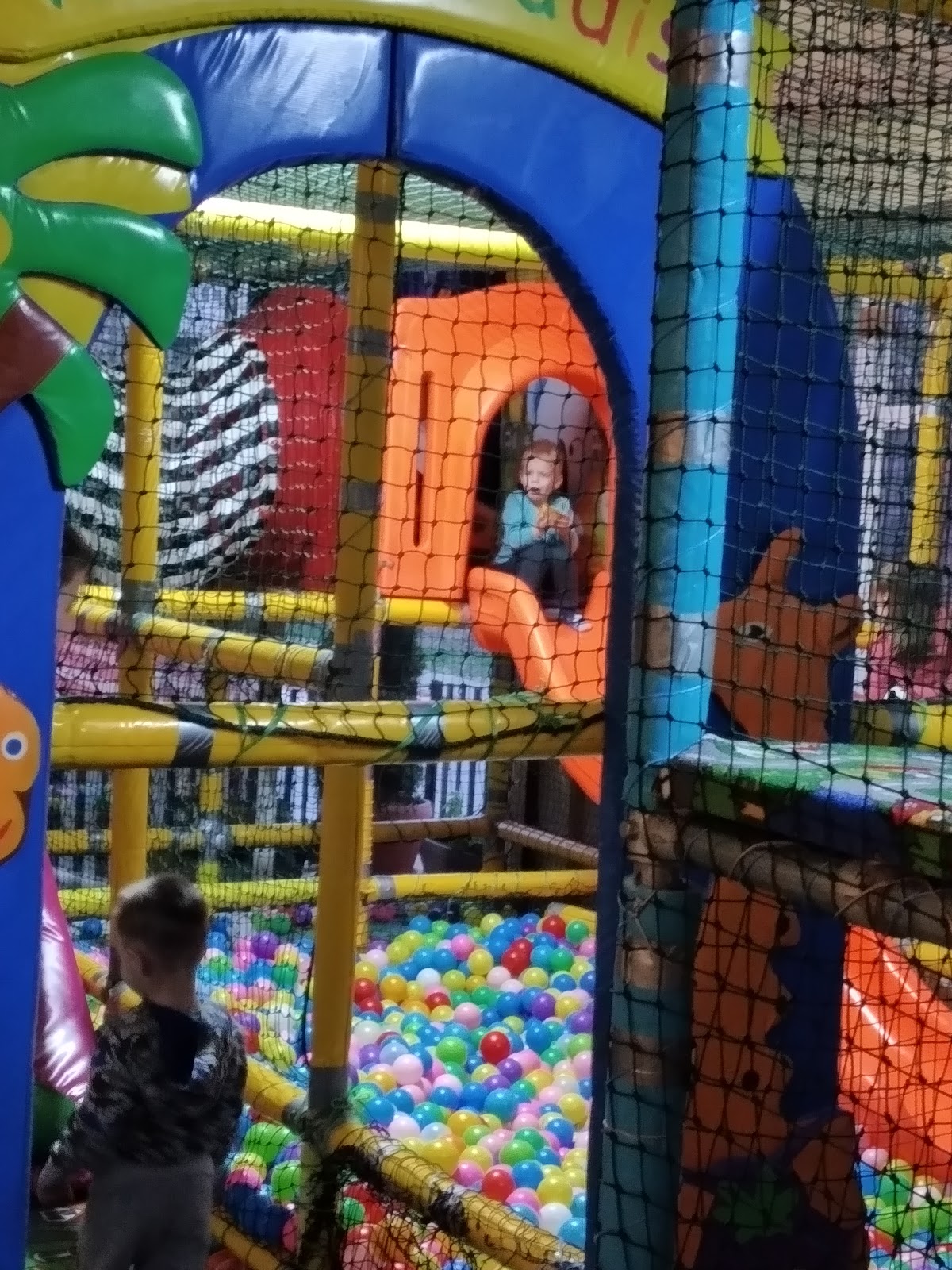 Restaurant Conte - foto 5