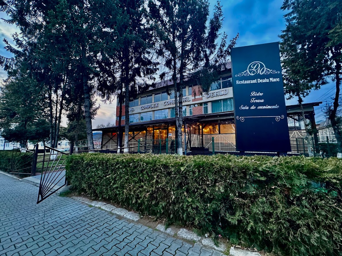 Restaurant Dealu Mare - foto 3