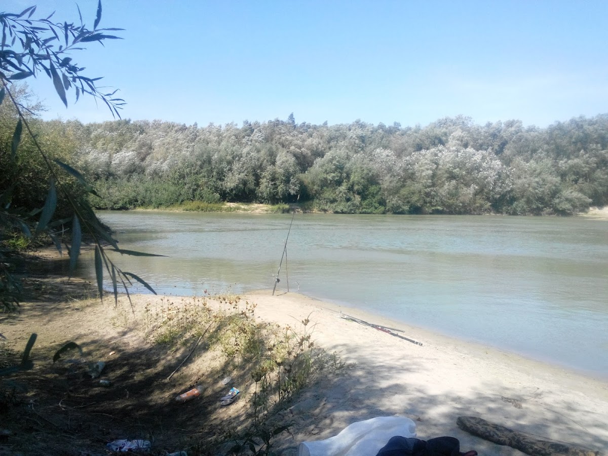 Restaurant Empire - foto 4