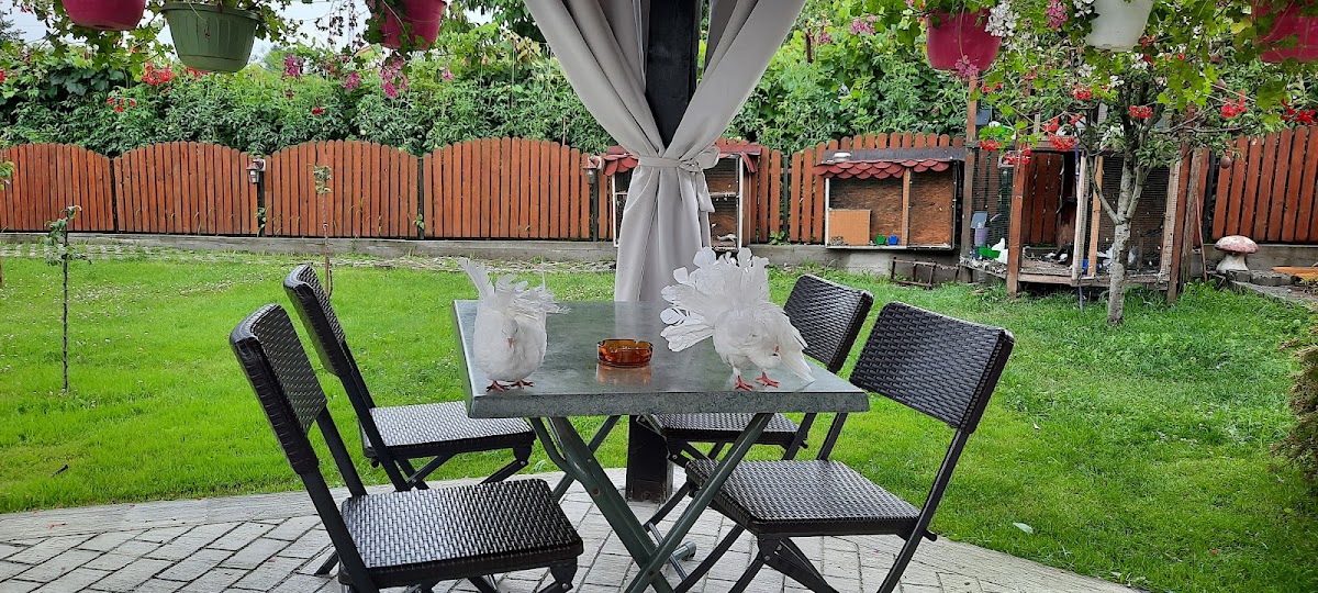 Restaurant Jacqueline